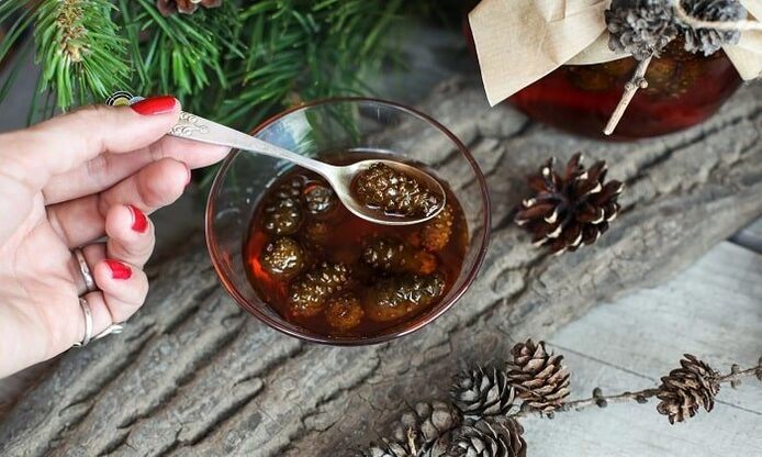 Teinture à base de bourgeons de pin pour le traitement de l'ostéochondrose cervicale à domicile.